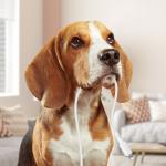 Cablu pentru incarcare si transfer de date Acefast C2-01, USB-C la Lightning, 30W, 3A, 480Mbps, 1.2m, Negru 9 - lerato.ro