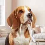 Cablu pentru incarcare si transfer de date Acefast MFI C2-02, USB-A la Lightning, 2.4A, 480Mbps, 1.2m, Negru 8 - lerato.ro