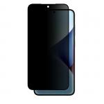 Folie sticla AmazingThing Radix Privacy compatibila cu Samsung Galaxy S25 Plus Transparent 2 - lerato.ro