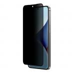 Folie sticla AmazingThing Radix Privacy compatibila cu Samsung Galaxy S25 Plus Transparent 4 - lerato.ro