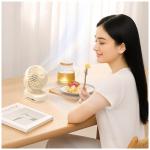 Ventilator pentru birou AWEI F45, 5W, Autonomie 7h, 1200mAh, USB-C, Bej 6 - lerato.ro