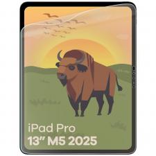 Folii tablete Apple iPad, Folie protectie Bizon Glass Tab Film Sun compatibila cu iPad Pro 13 inch M5 2025, Transparent, lerato.ro