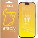 Folie protectie Bizon Glass Film Sun compatibila cu iPhone 17 Pro, Transparent 4 - lerato.ro