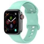 Curea din Bizon Strap Watch Silicone compatibila cu Apple Watch 38/40/41/42 mm, Mint 2 - lerato.ro