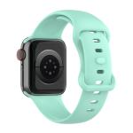Curea din Bizon Strap Watch Silicone compatibila cu Apple Watch 38/40/41/42 mm, Mint 5 - lerato.ro