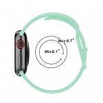Curea din Bizon Strap Watch Silicone compatibila cu Apple Watch 38/40/41/42 mm, Mint 7 - lerato.ro