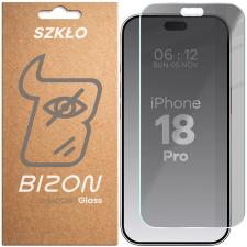 Folie sticla securizata Bizon Glass Clear Shadow Privacy compatibila cu iPhone 18 Pro, Negru