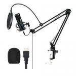 Microfon BlitzWolf BW-CM2 Condenser Cantilever Bracket, USB, Negru 2 - lerato.ro