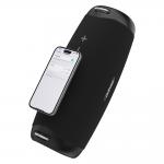 Boxa portabila wireless Dudao Y21 Pro, 80W, Bluetooth 5.3, 8000 mAh, Autonomie 8h, Iluminare RGB, Negru 5 - lerato.ro