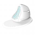 Mouse universal Delux M618XSD BT RGB, Wireless, Vertical, 4000 DPI, 1000 mAh, Alb 2 - lerato.ro