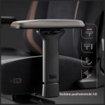 Scaun de gaming Diablo Chairs X-Eye 2.0, Normal Size, Recliner, Suport Lombar / Cervical, Ergonomic, Ajustabil, Negru 12 - lerato.ro