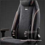 Scaun de gaming Diablo Chairs X-Eye 2.0, Normal Size, Recliner, Suport Lombar / Cervical, Ergonomic, Ajustabil, Negru 14 - lerato.ro