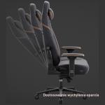 Scaun de gaming Diablo Chairs X-Eye 2.0, Normal Size, Recliner, Suport Lombar / Cervical, Ergonomic, Ajustabil, Negru 9 - lerato.ro