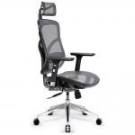 Scaun ergonomic Diablo Chairs V-Basic, Recliner, Suport Lombar / Cervical, Ajustabil, Negru / Gri 3 - lerato.ro