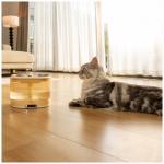 Fantana de apa ENABOT pentru animale de companie, Capacitate 2L, 5000mAh, Bej 9 - lerato.ro
