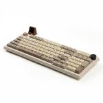 Tastatura mecanica Epomaker RT100, Wireless, Bluetooth, USB-C, Switch-uri Liniar Wisteria, Bej 4 - lerato.ro
