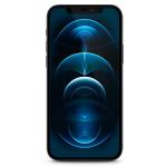 Folie sticla securizata Guess Vintage Magic Logo compatibila cu iPhone 12 Pro Max, Negru 4 - lerato.ro