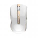 [Combo] Accesorii Laptop, Mouse Wireless Havit MS951GT + Mousepad darkFlash 3 - lerato.ro