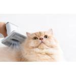 Aparat multifunctional pentru ingrijirea parului animalelor de companie HomeRunPet HC15, 12000Pa, 400W, Capacitate 1.85L, Alb 4 - lerato.ro