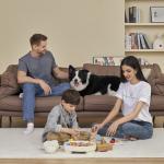 Aspirator vertical JIMMY PW11, Fara fir, 400W, 20000Pa, Capacitate colectare 0.6L, 4000mAh, Autonomie 75min, Silver / Gray 21 - lerato.ro