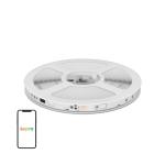 Banda LED LEPRO S1, Lungime 20m, Iluminare RGBIC, Control aplicatie / vocal, Bluetooth, WiFi, Multicolor 2 - lerato.ro