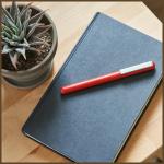 Pix Lexon C-Pen 2in1, USB-C Flash Drive, 32GB, Rosu 11 - lerato.ro