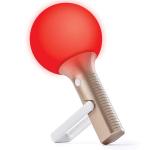 Lampa LED Bolla Plus, Lumina cu 9 culori, 2400mAh, Autonomie 8h, IPX4, USB-C, Gold 4 - lerato.ro