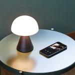 Lampa LED 2in1 Lexon Mina Audio L, Difizor 5W, Lumina cu 7 culori, Bluetooth, USB-C, Gunmetal 10 - lerato.ro