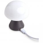 Lampa LED Lexon Mina Mini, Luminozitate ajustabila, USB-C, Gunmetal 4 - lerato.ro
