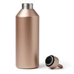 Termos Lexon Horizon, Izolatie din otel inoxidabil, Mentine temperatura pana la 24h, 500ml, Gold 3 - lerato.ro