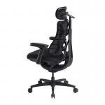 Scaun ergonomic LiberNovo Omni SE, Recliner, Suport lombar / cervical reglabil, Adancime 48cm, Ajustabil, Negru 6 - lerato.ro