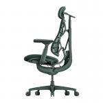 Scaun ergonomic LiberNovo Omni, Recliner, Suport lombar / cervical reglabil, Adancime 45cm, Ajustabil, Verde 6 - lerato.ro