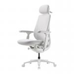 Scaun ergonomic LiberNovo Maxis, Recliner, Suport lombar / cervical reglabil, Ajustabil, Baterie 2200mAh, Sarcina maxima 181 kg, Alb 4 - lerato.ro