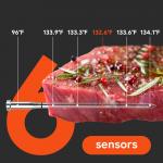 Termometru de bucatarie Meatmeet S Pro, Afisaj digital, Bluetooth, WiFi, IP69, Gri 8 - lerato.ro