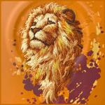 Carcasa Nimmy Lion cu MagSafe compatibila cu iPhone 17 Pro Max, Portocaliu 7 - lerato.ro