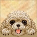 Husa Nimmy Big Eyed Lying Teddy Poodle cu MagSafe compatibila cu iPhone 18 Pro / 17 Pro, Maro 7 - lerato.ro