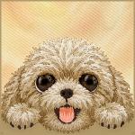 Husa Nimmy Big Eyed Lying Teddy Poodle cu MagSafe compatibila cu iPhone 18 Pro Max / 17 Pro Max, Maro 7 - lerato.ro