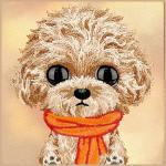 Husa Nimmy Big Eyed Teddy Poodle compatibila cu iPhone 18 Pro / 17 Pro, Maro 7 - lerato.ro