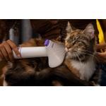 Aparat multifunctional pentru ingrijirea parului animalelor de companie Oneisall BM5, 90W, Capacitate 2L, 55 dB, Alb 5 - lerato.ro