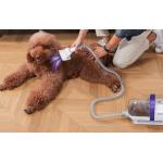 Aparat multifunctional pentru ingrijirea parului animalelor de companie Oneisall LM5, 300W, Capacitate 1.5L, Lungime furtun 1.5m, Alb 8 - lerato.ro