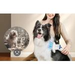 Aparat multifunctional pentru ingrijirea parului animalelor de companie Oneisall BM1, Capacitate 2L, functii de perie, aparat de tuns, aspirator, spalare si uscare, Alb 8 - lerato.ro