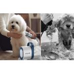 Aparat multifunctional pentru ingrijirea parului animalelor de companie Oneisall LM2, Capacitate 1.5L, functii de perie, aparat de tuns, aspirator, Alb 8 - lerato.ro
