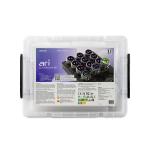 Set Ozobot Ari Classroom Kit, 12 roboti, Carioci incluse, Set activitati, Incarcare Wireless, WiFi, Negru 10 - lerato.ro