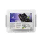 Set Ozobot Ari Classroom Kit, 18 roboti, Carioci incluse, Set activitati, Incarcare Wireless, WiFi, Negru 10 - lerato.ro