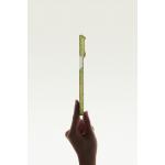 Husa Pitaka Wind Over Wheat Surging Awn 02 cu MagSafe compatibila cu iPhone 18 Pro Max / 17 Pro Max, Verde 20 - lerato.ro