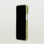 Husa Pitaka Wind Over Wheat Surging Awn 02 cu MagSafe compatibila cu iPhone 18 Pro Max / 17 Pro Max, Verde 22 - lerato.ro