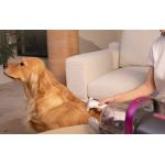 Aparat multifunctional pentru ingrijirea parului animalelor de companie Petkit AirClipper 5 in 1, functie de perie, aparat de tuns, aspirator, Alb 4 - lerato.ro