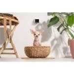 Camera smart Petcube Cam pentru animale, 1080p, WiFi, Night Vision, Microfon, Alb 7 - lerato.ro