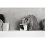 Camera smart Petcube Cam pentru animale, 1080p, WiFi, Night Vision, Microfon, Alb 5 - lerato.ro
