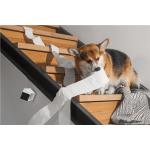 Camera smart Petcube Cam pentru animale, 1080p, WiFi, Night Vision, Microfon, Alb 18 - lerato.ro